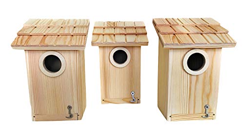 3 Pack Bird House – Bluebird, Finch, Wren, Chickadee, Tree Swallow Bird, Wild Birds, Woodpecker House, Unfinished Wood DIY Project |