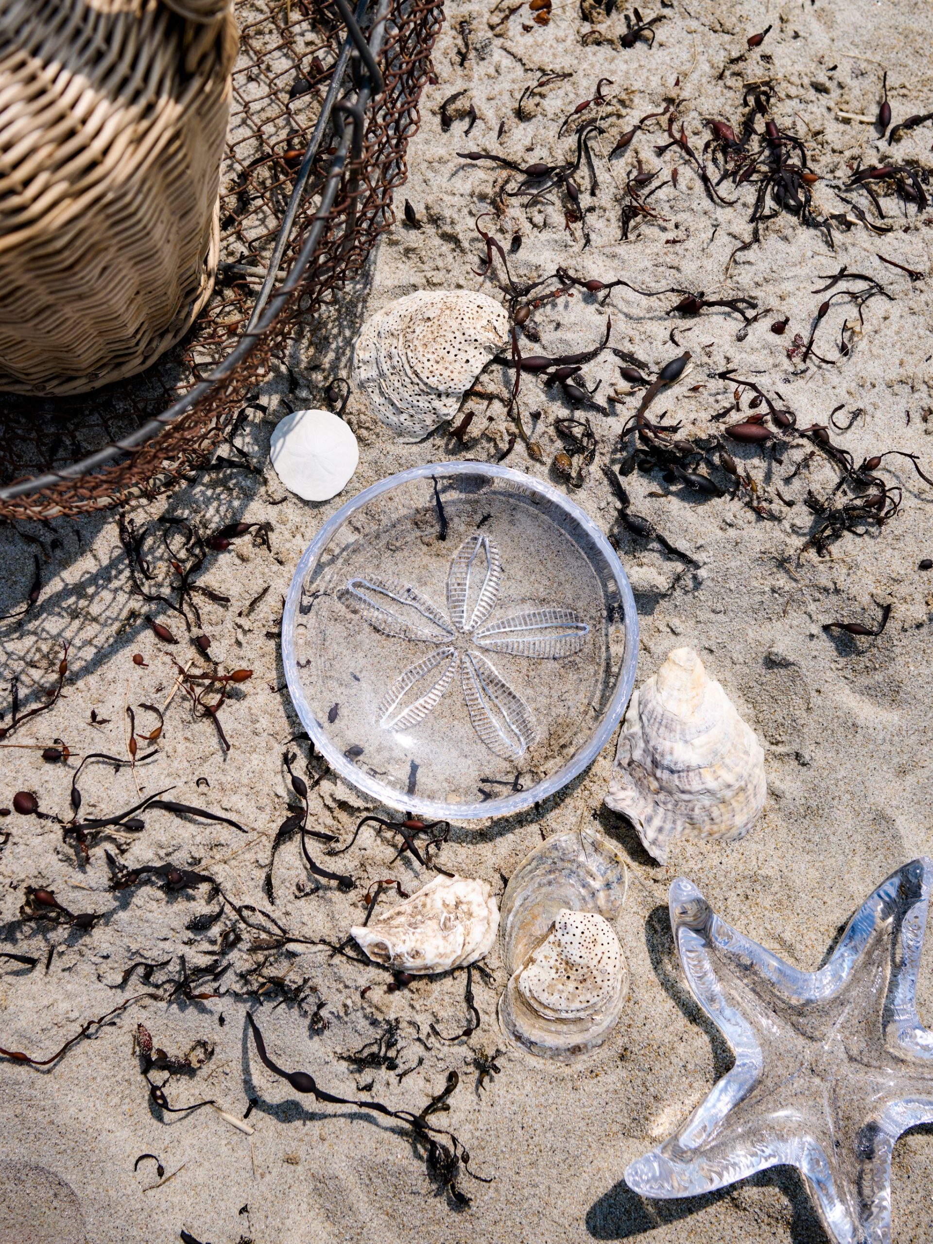 Simon Pearce Sand Dollar Plate