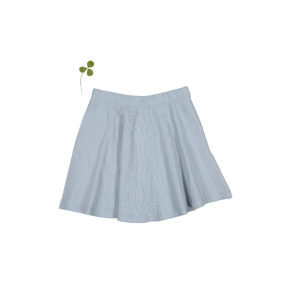 The Skirt –  Blue